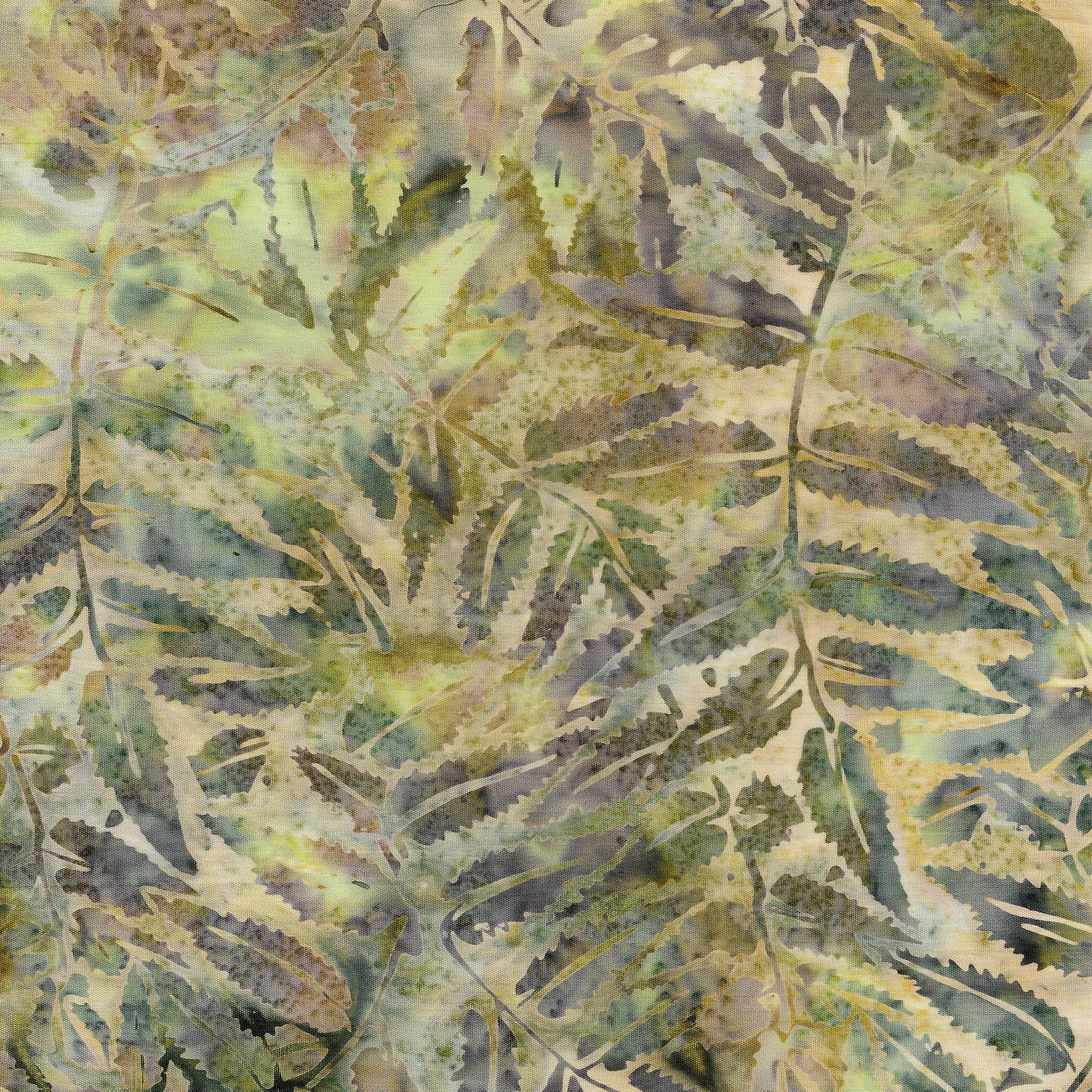 111930831 / Fern Leaves -Opal