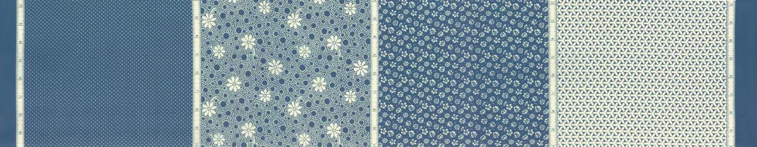 21741 17 Play All Day Blue