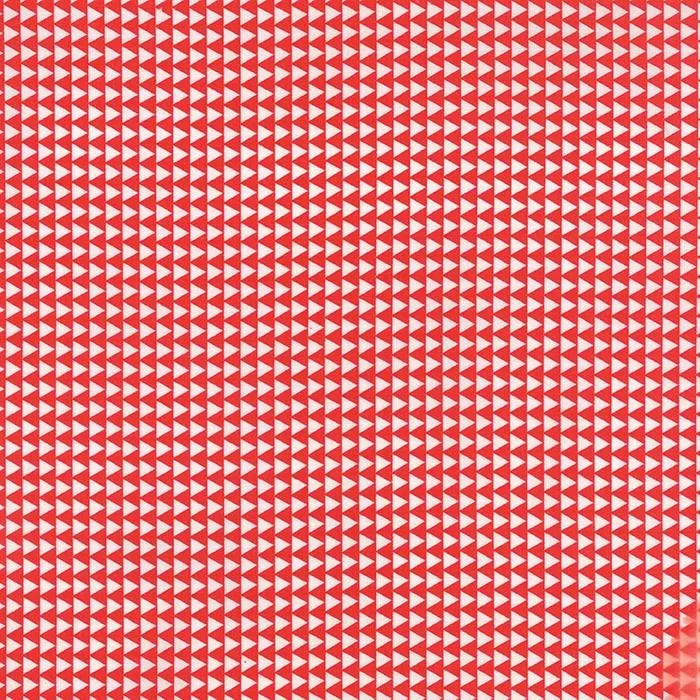 35234 19 CW Here Boy Red Triangles