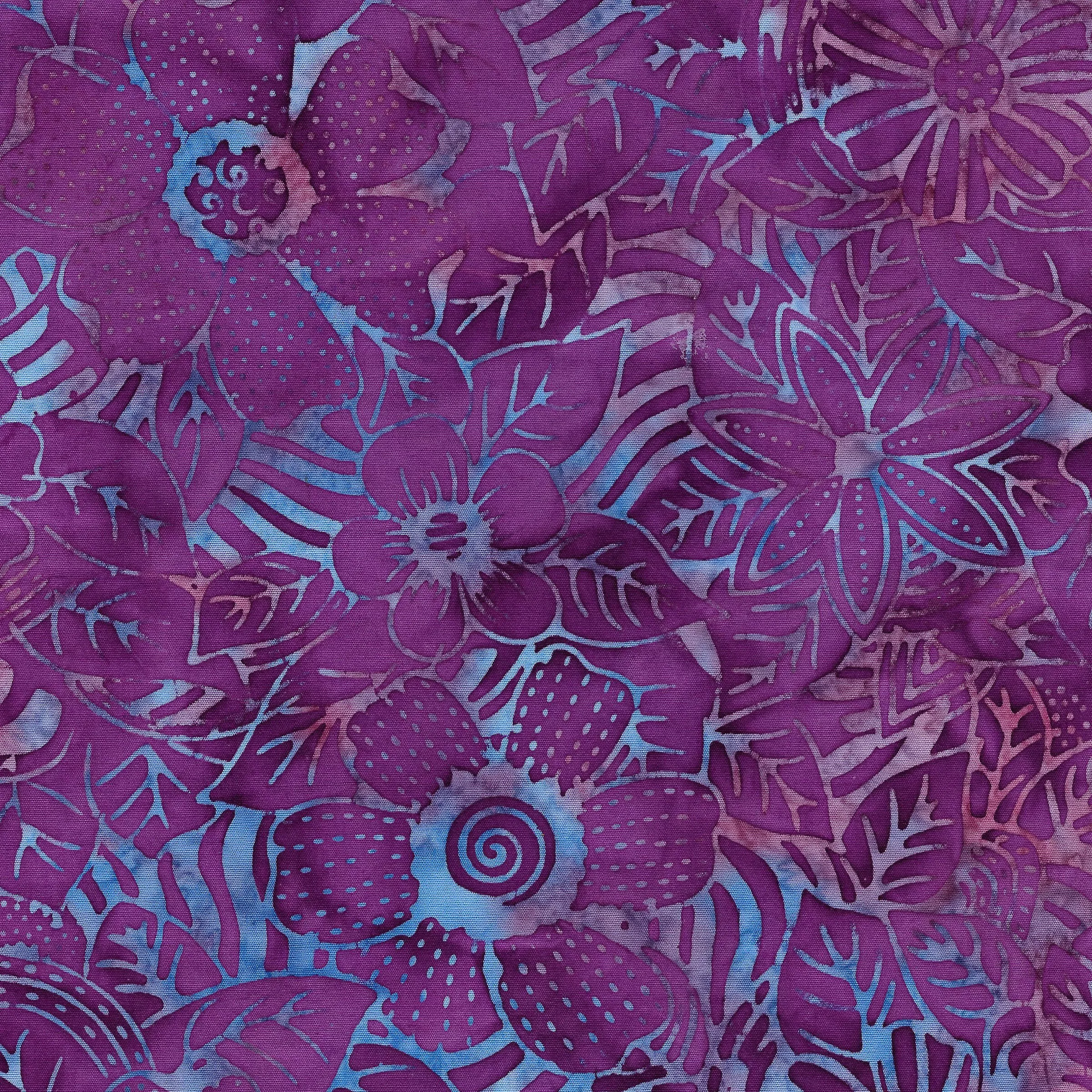 711901460 / Flower Zebra-Jelly