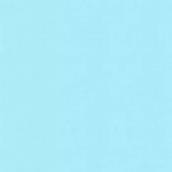 9900 85 Bella Solids Robins Egg