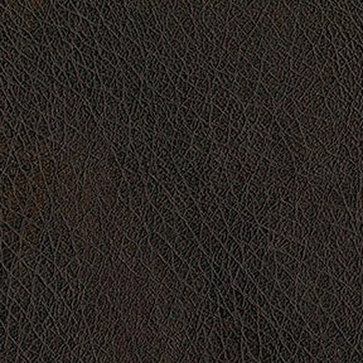 Abilene 8006 Walnut Fabric