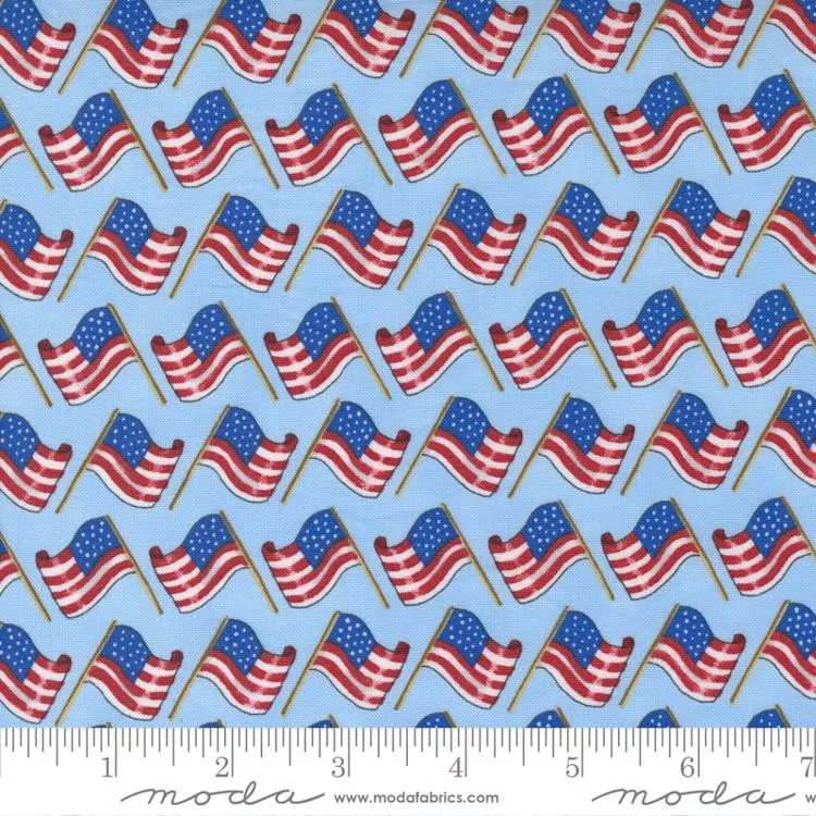 All American Bunting Sky Blue
