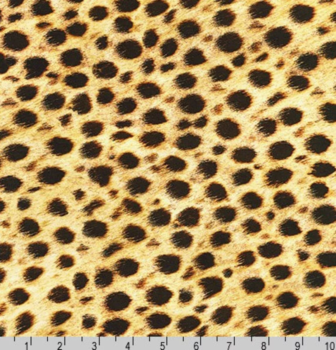Animal Kingdom 25cm RK 19871-286 Wild - Robert Kaufman
