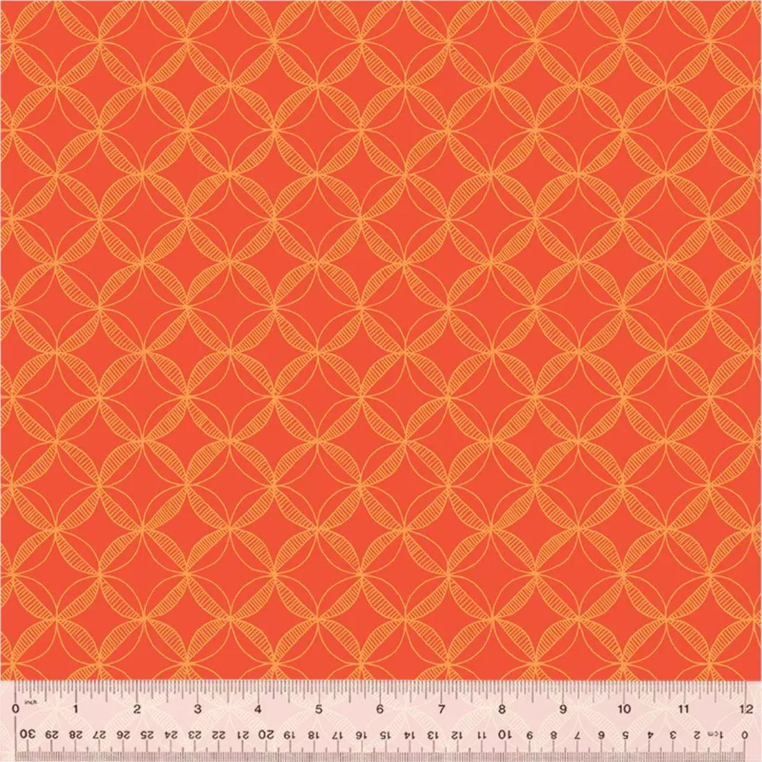 Appeal Coral by Shayla Wolf