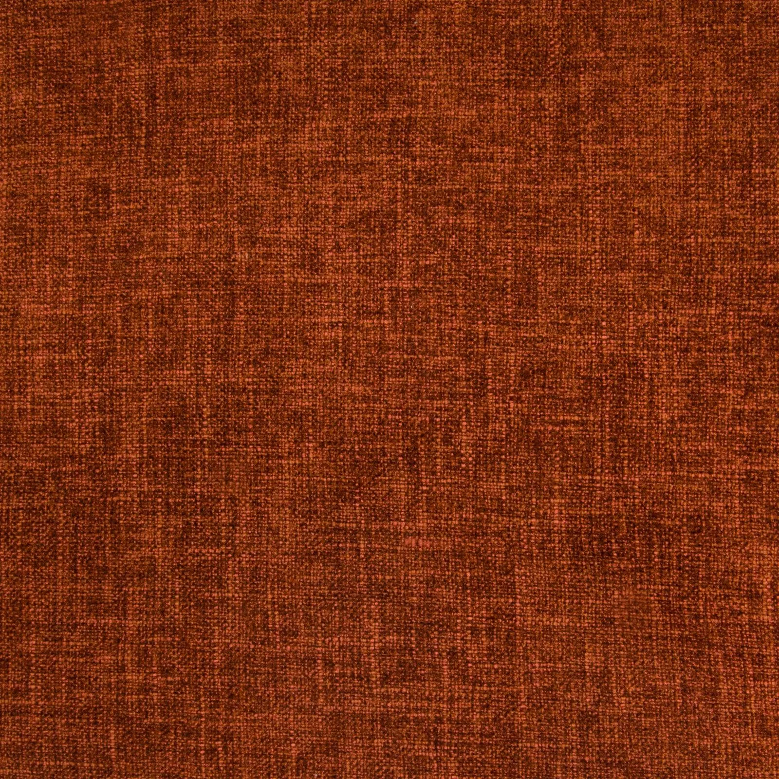 b3816-bittersweet B3816 Bittersweet