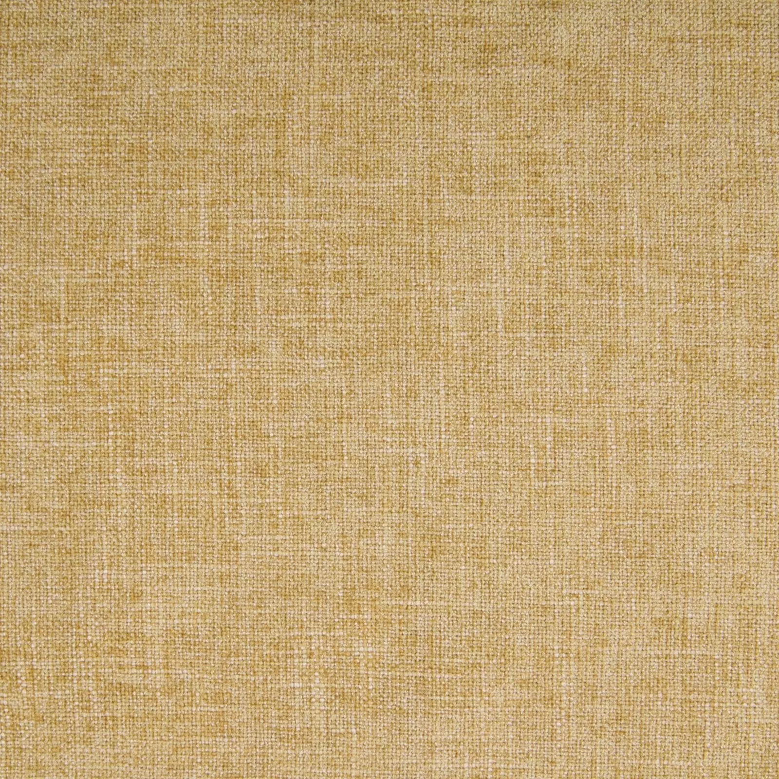 b3818-maize B3818 Maize