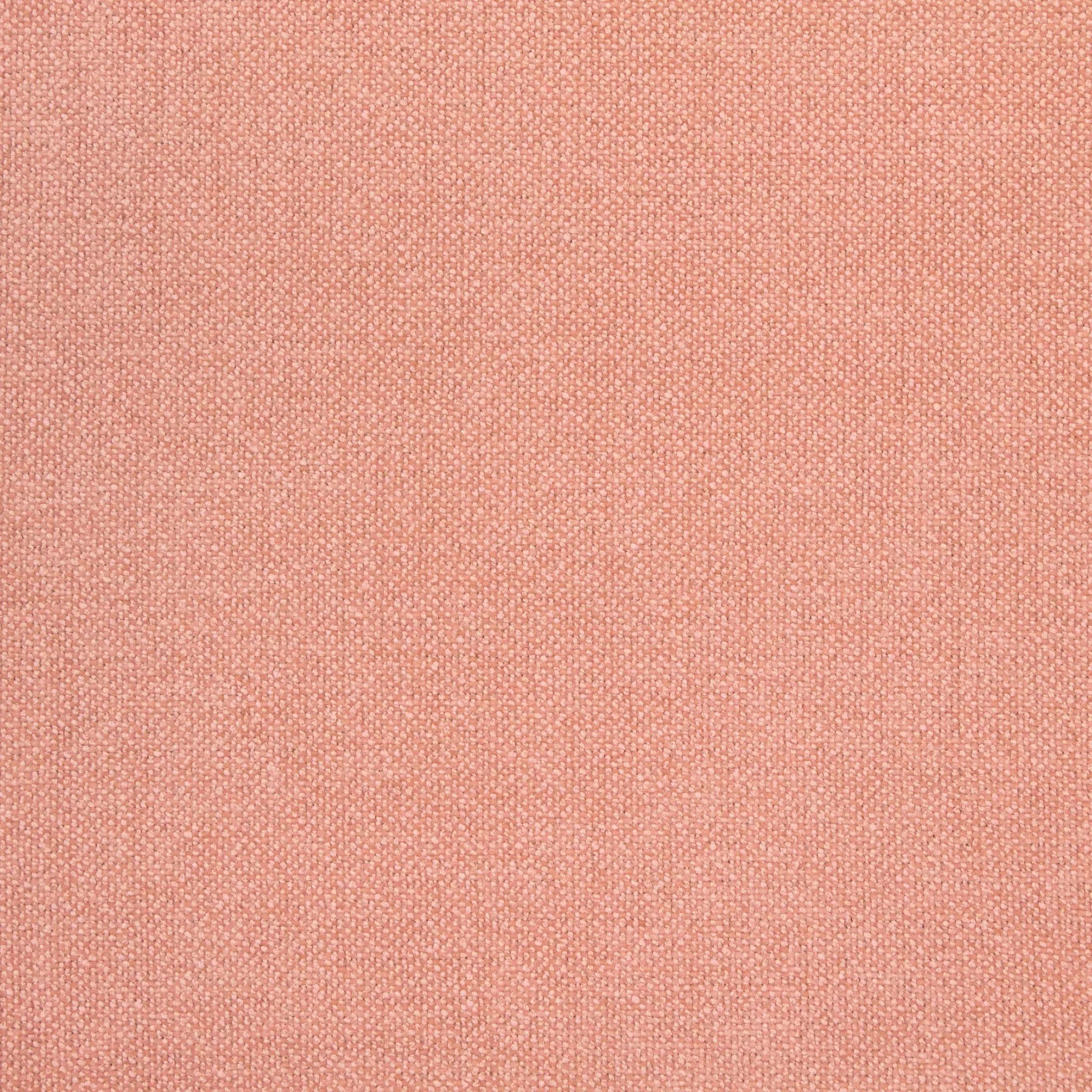 b8584-guava B8584 Guava