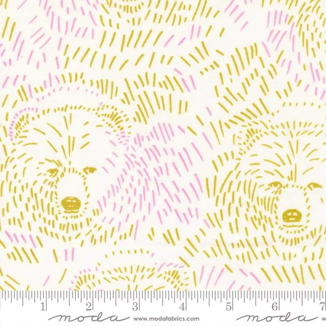 Bears Daisy by Aneela Hoey