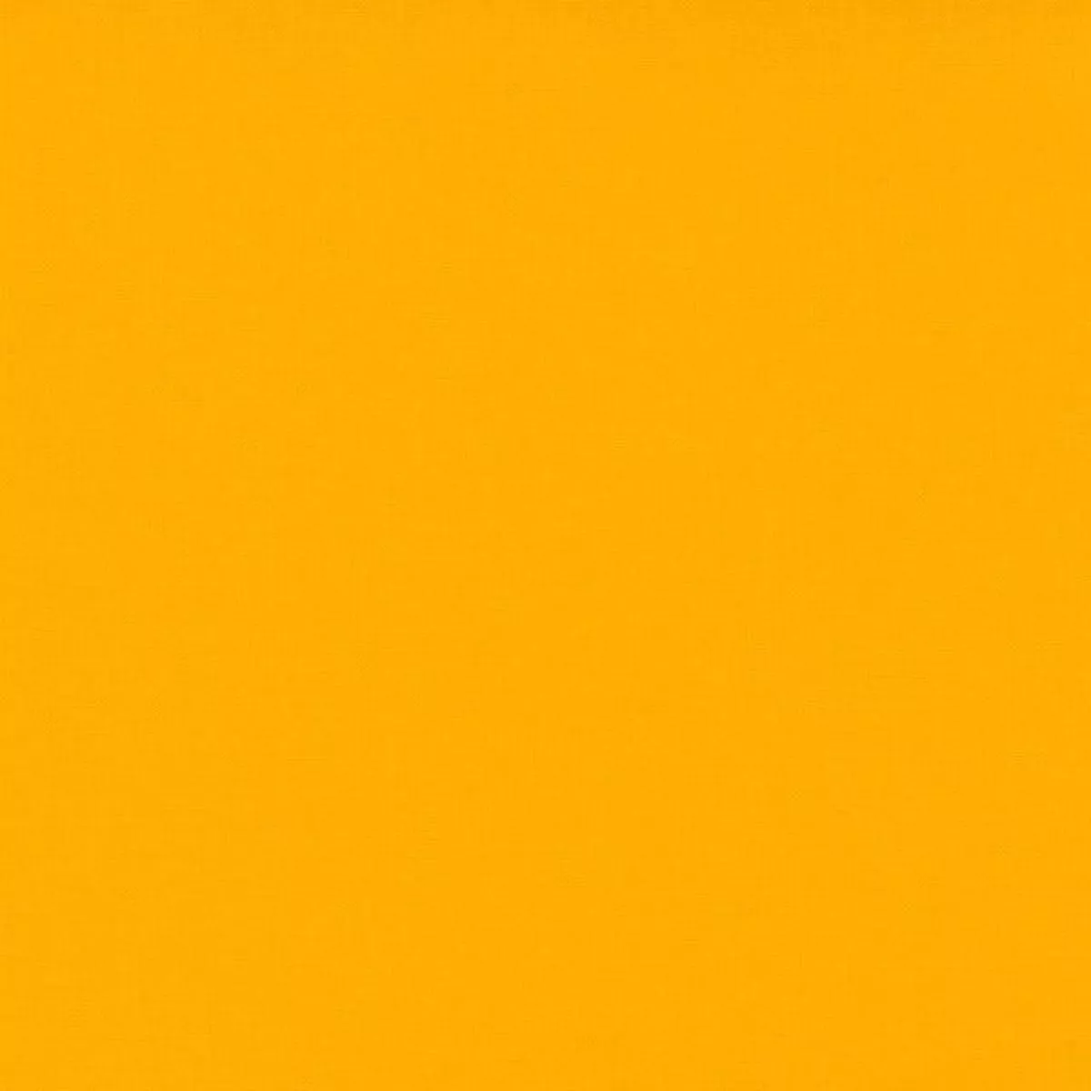 Bella Solid – Marigold 290