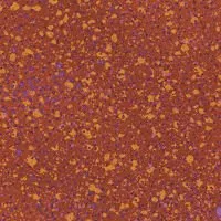 Bittersweet 2098-22 Galaxy Russet
