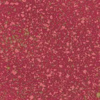 Bittersweet 2098-26 Galaxy Rubarb