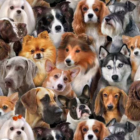 Black Dog Breeds All Over 1314-E-BLK