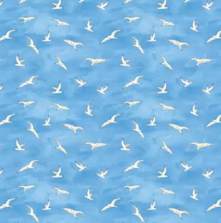 Blue Seagulls WP032020