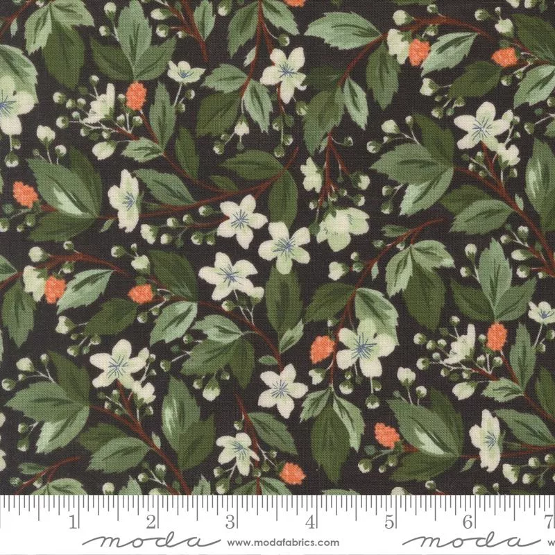Brookside 36081 19Midnight