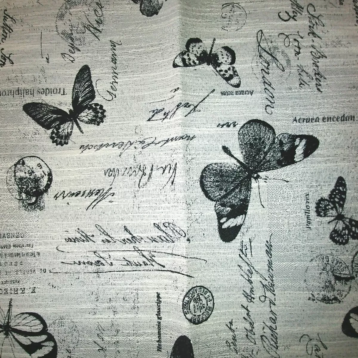 Butterfly - 54" -Upholstery Fabric