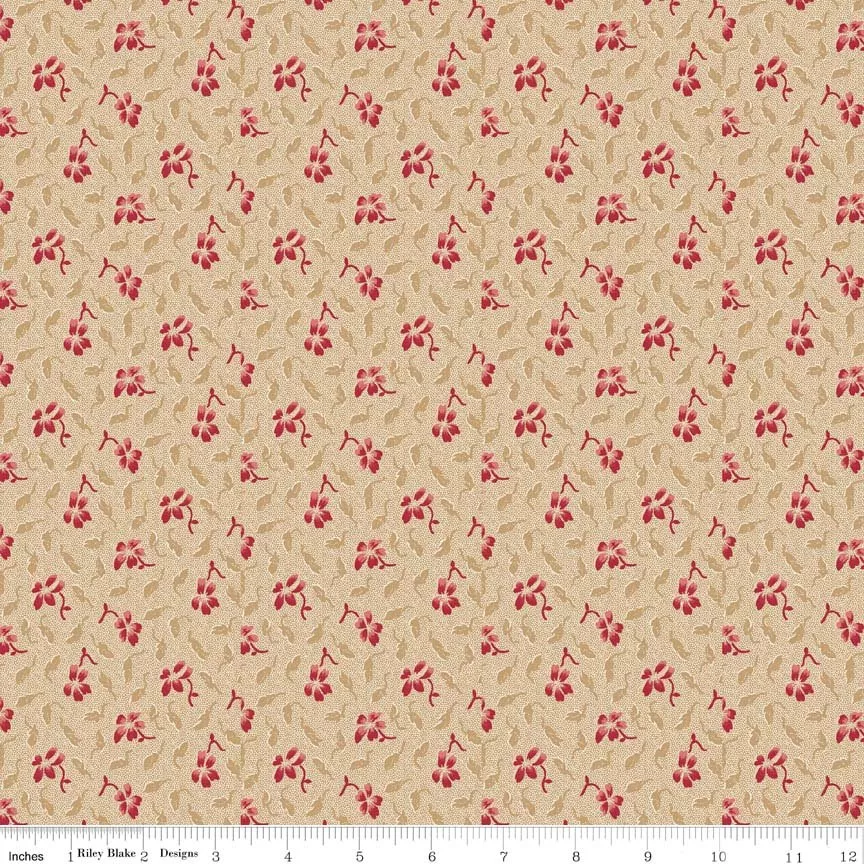 C4713-CREAM Samantha
