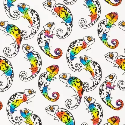 Camaleon – Rainbow
