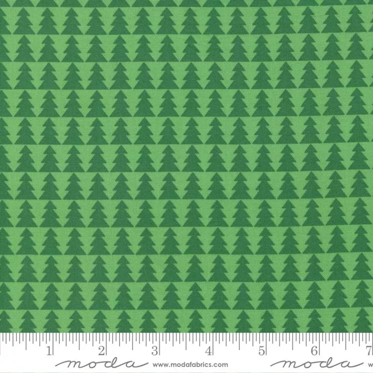 candy-cane-lane-evergreen-trees-in-row Candy Cane Lane Evergreen Trees in a Row