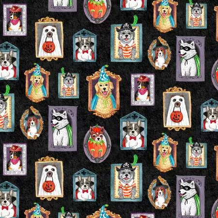 Canine Court Black