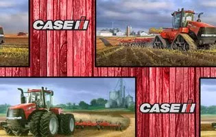 Case International