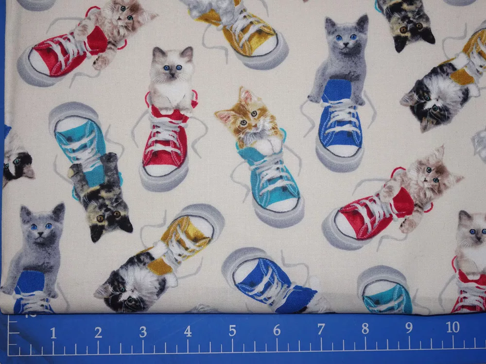 Cat – CAT006