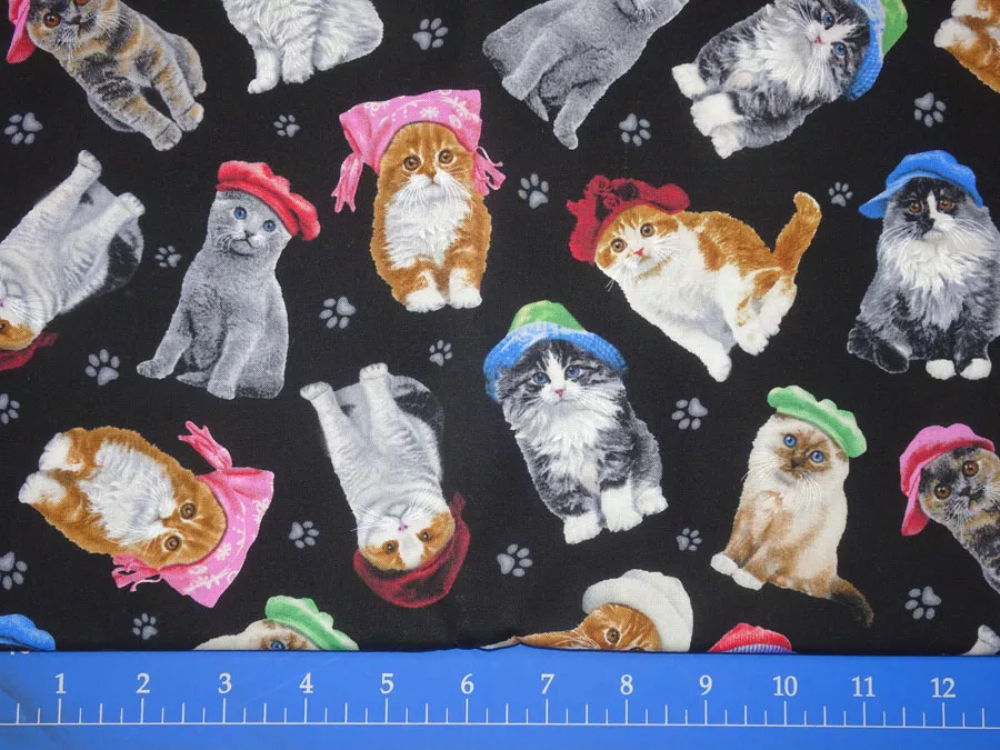 Cats