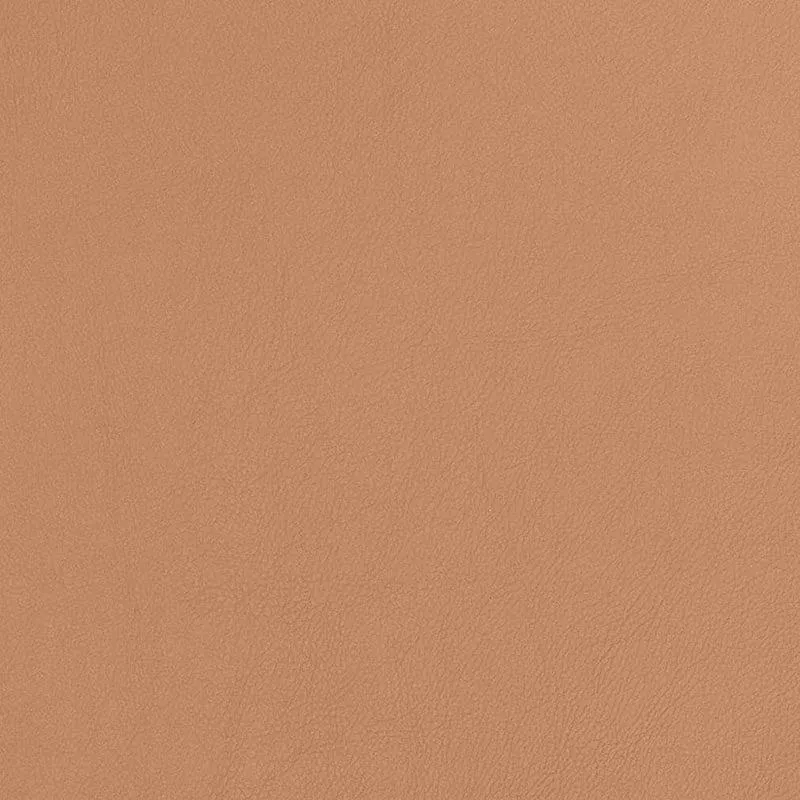 Charlotte Caramel Fabric V810