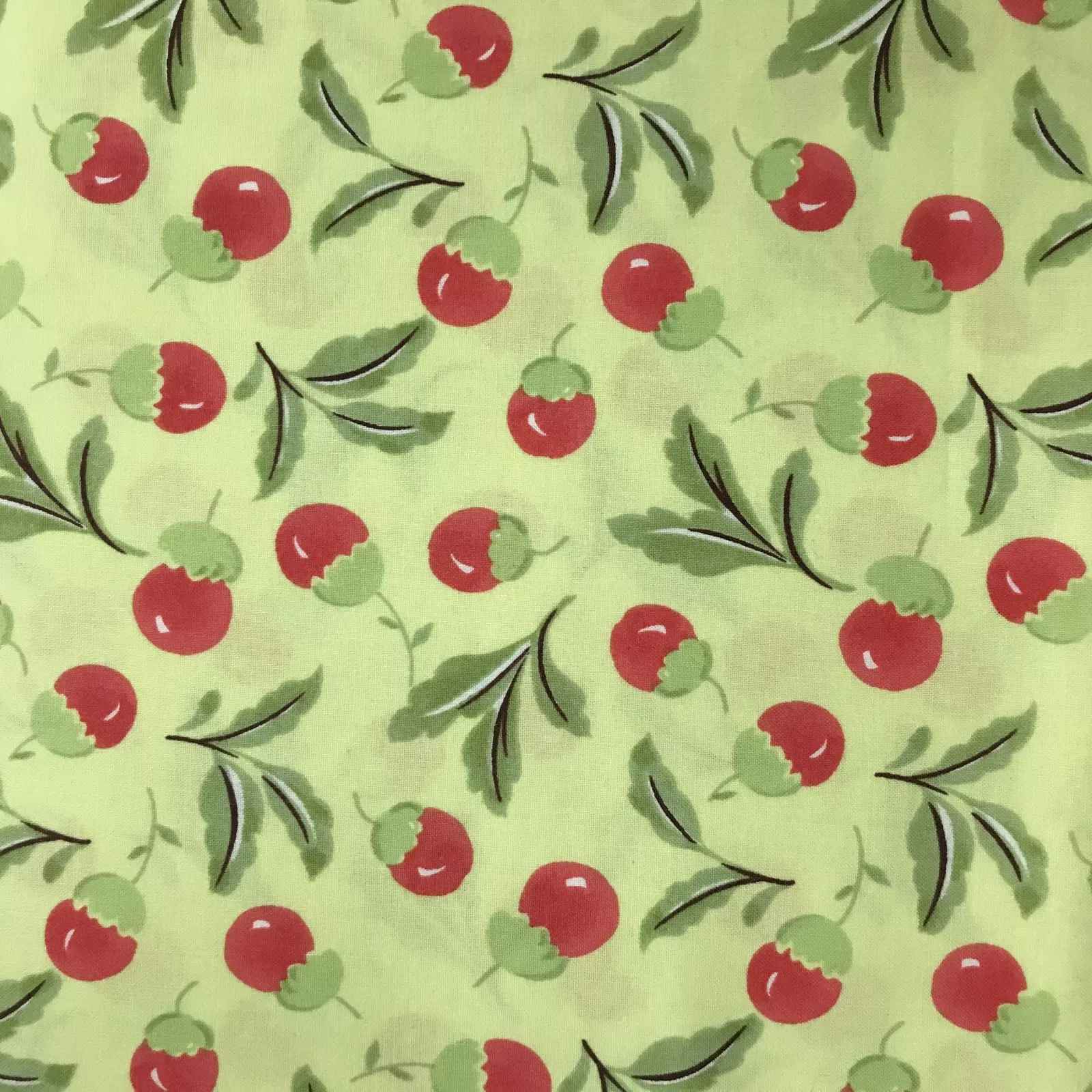 Clara by P&B Textiles CLAR #990 YG