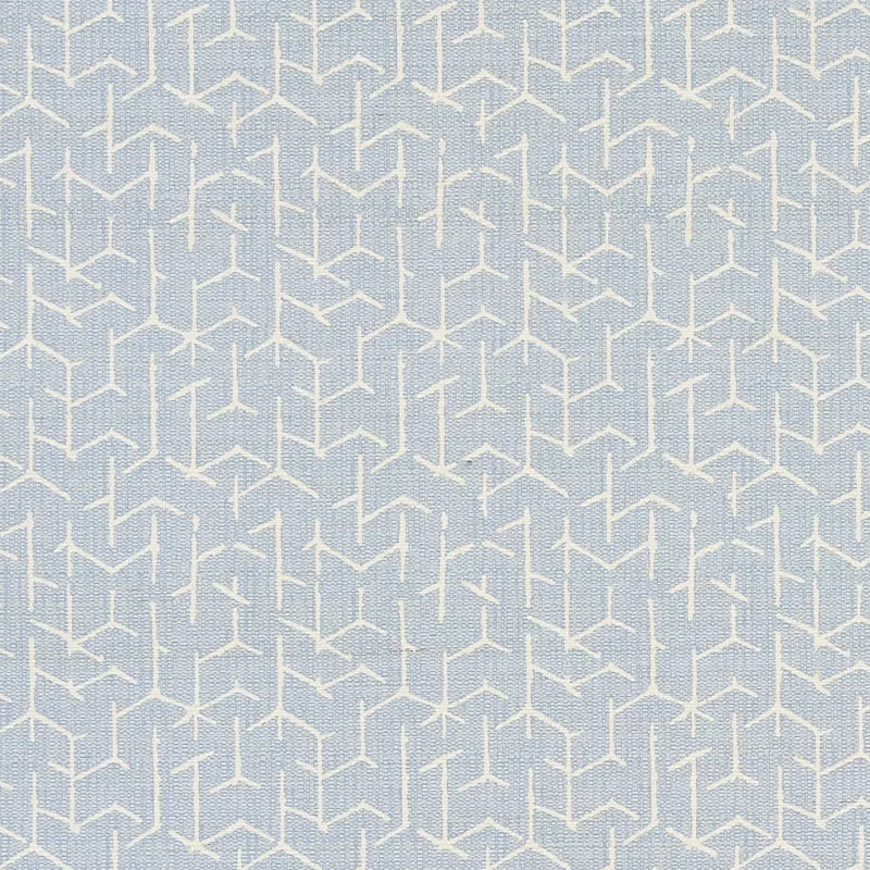 COLERIDGE CHAMBRAY