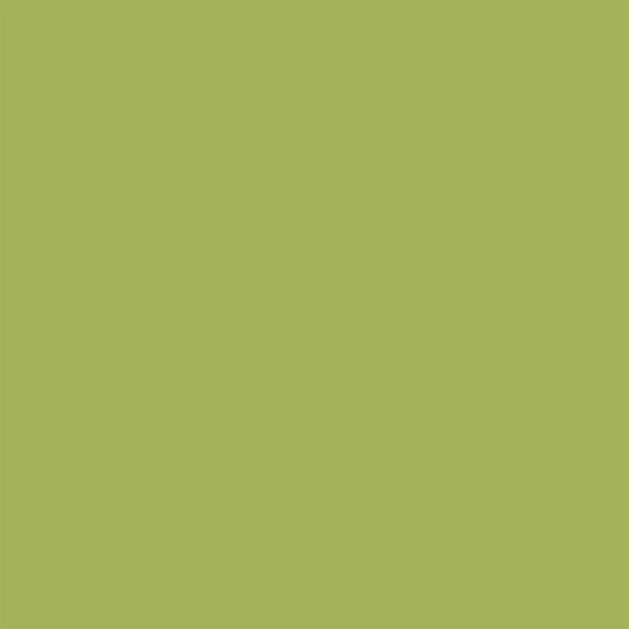 Colorworks - Kiwi