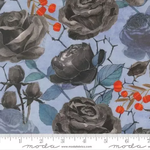 Coven – Black Roses – Sky