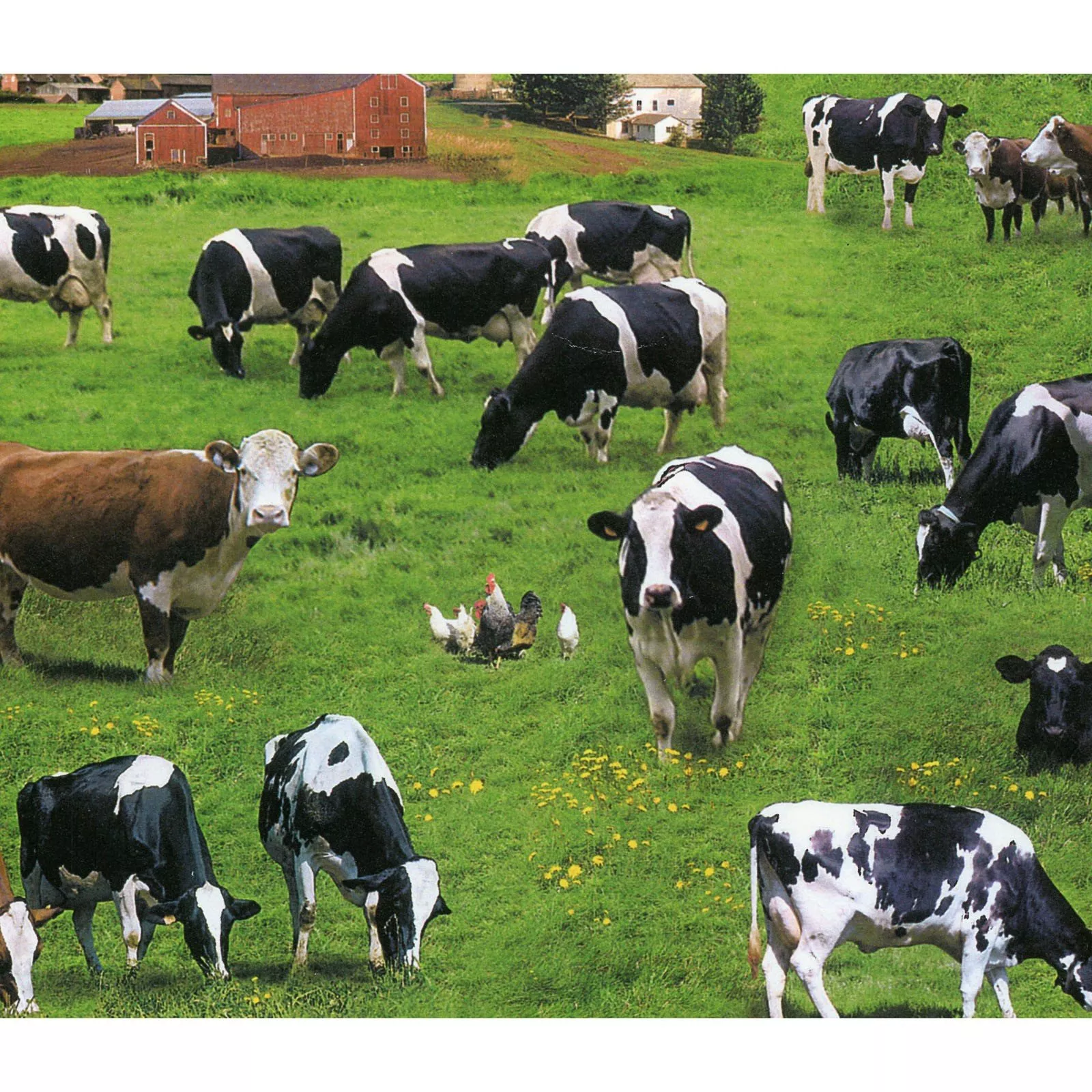 Cows - GreenElizabeth's Studio 337-GRE