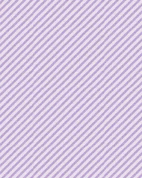 Curiosities – 2873-60 (Fat 1/4)