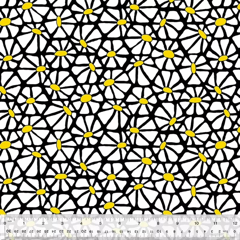 Daisy Canvas | Shayla Wolf | Summer Lovin'