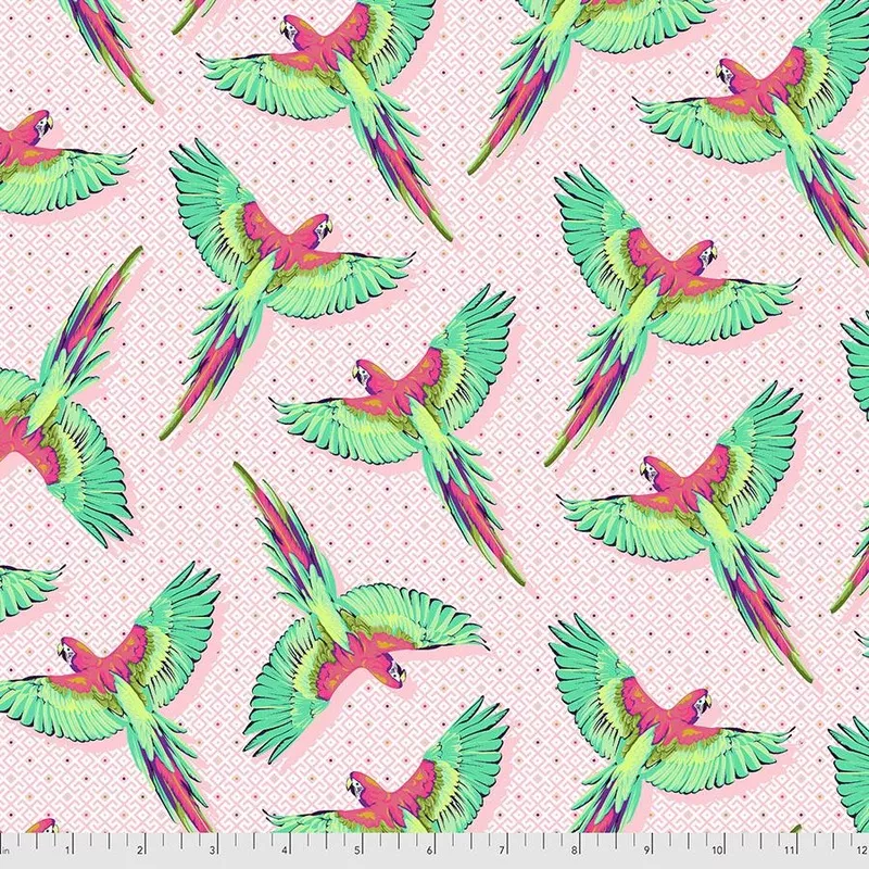 Daydreamer – Macaw Ya Later – Dragonfruit