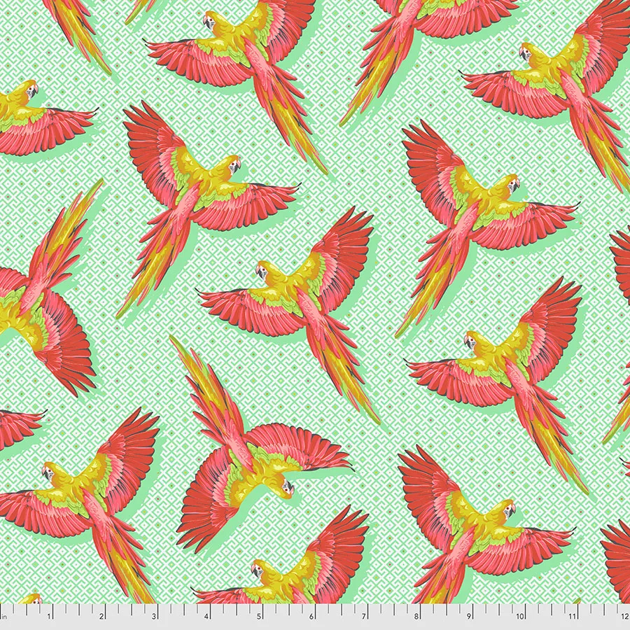 Daydreamer Macaw Ya Later - Mango