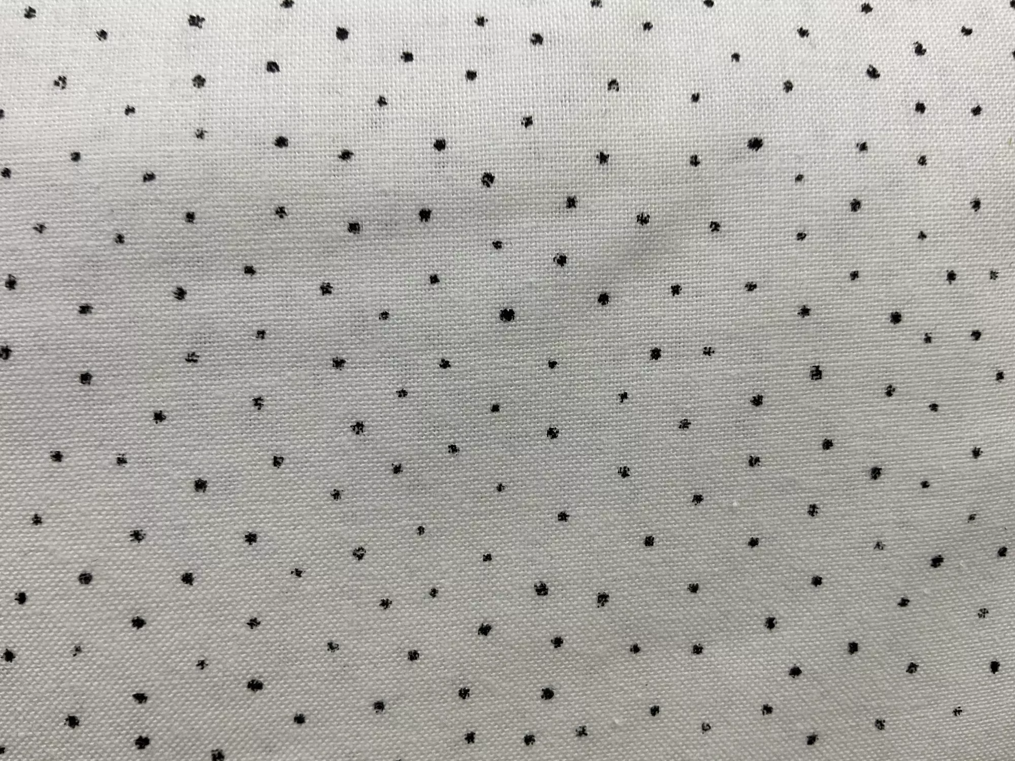 Dot Cream C1052