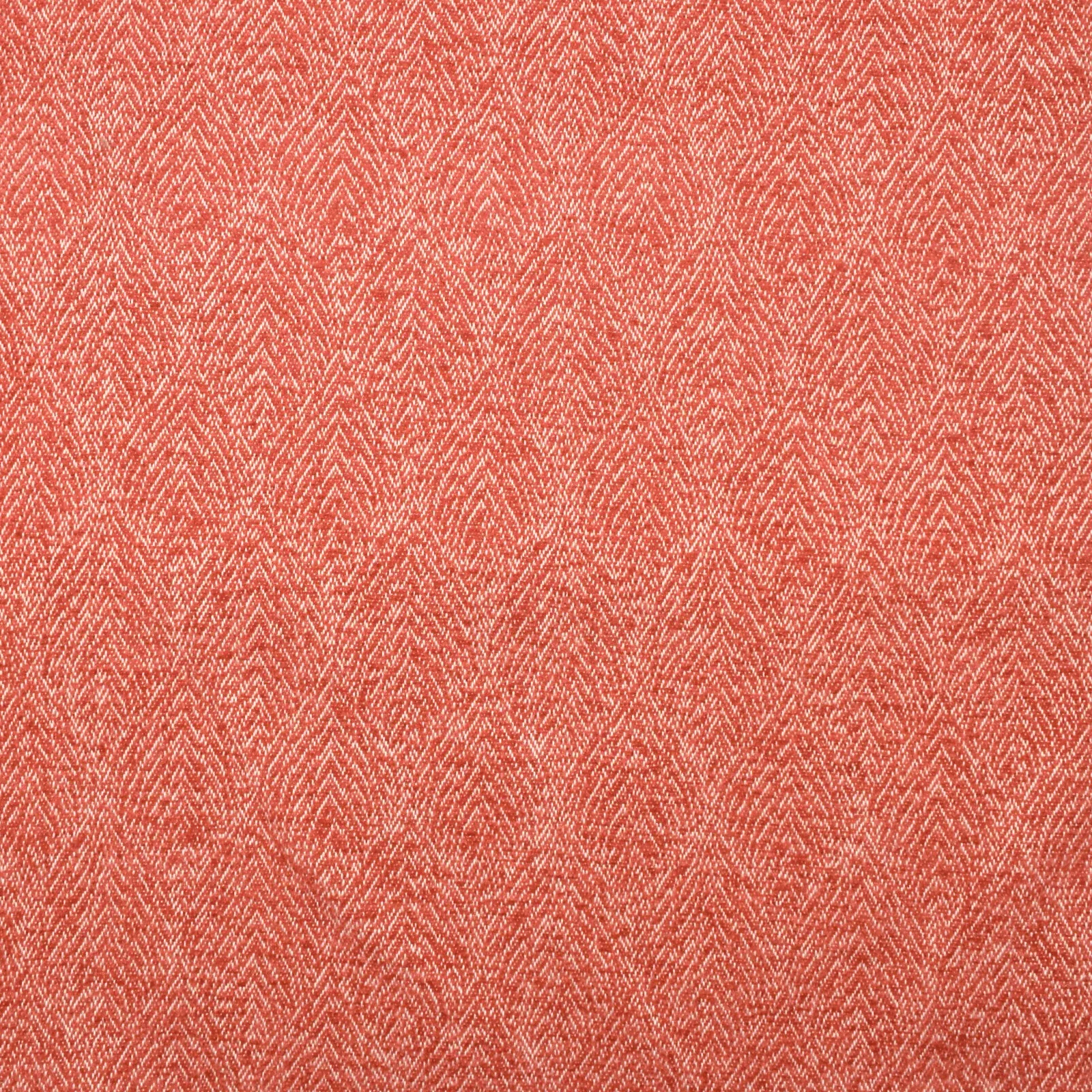 dusty-f2343-coral Dusty F2343 Coral