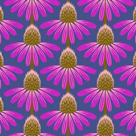 Echinacea - Haute