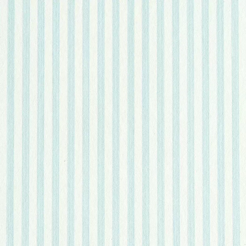 EDWIN STRIPE NARROW SKY