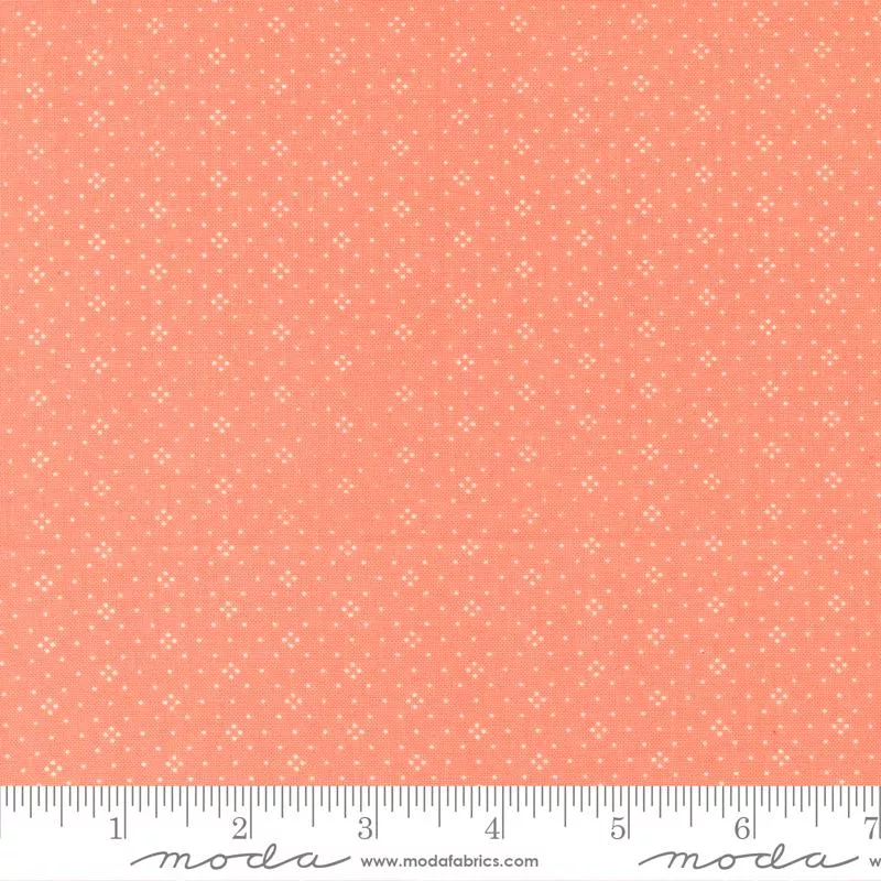 Eyelet Coral