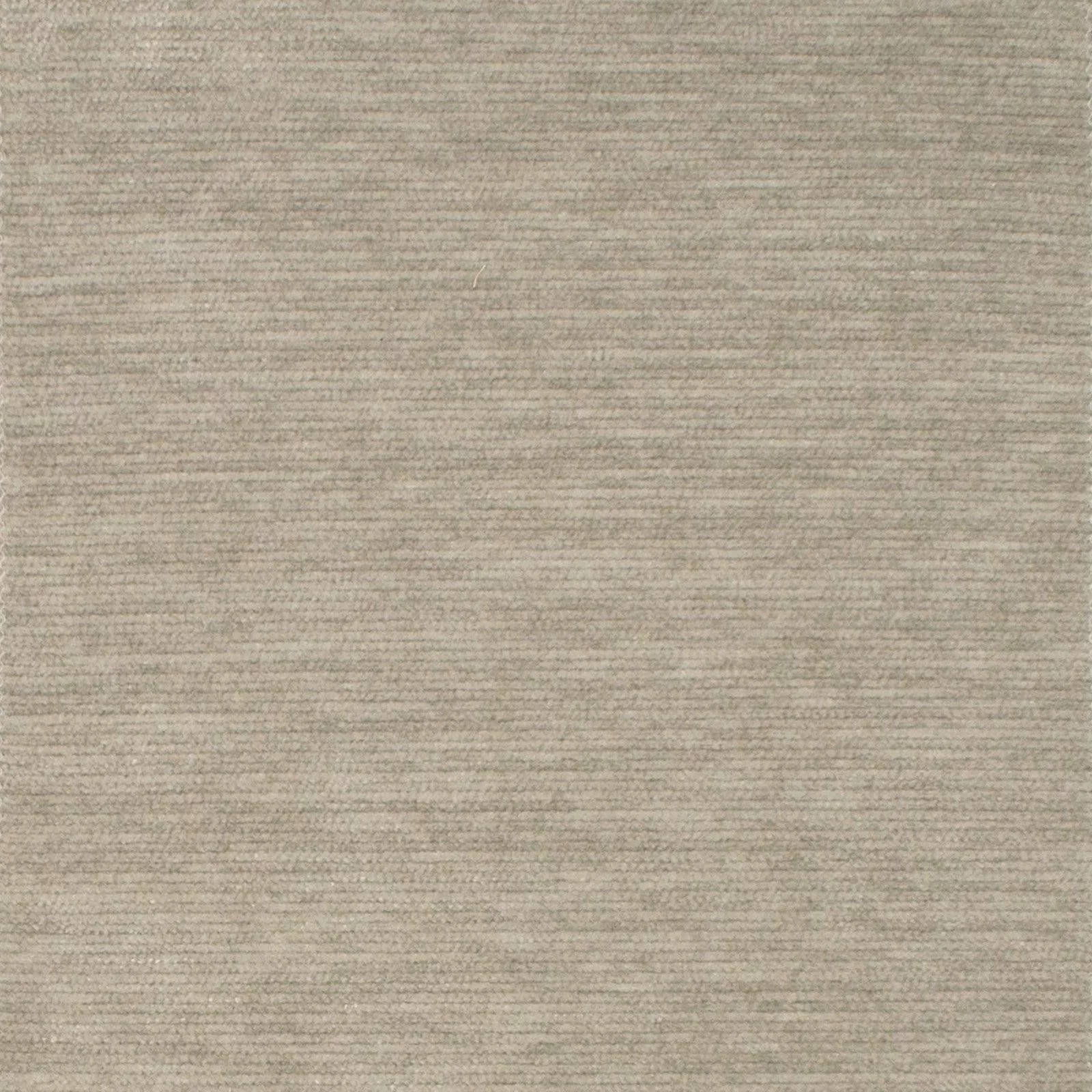 F1536