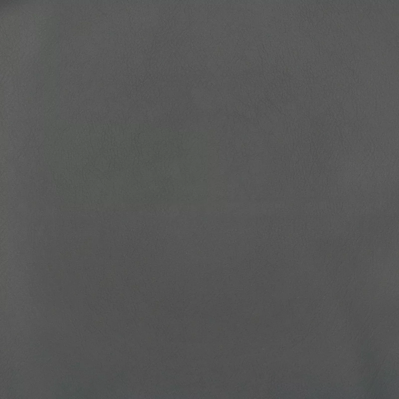 f2889 F2889
