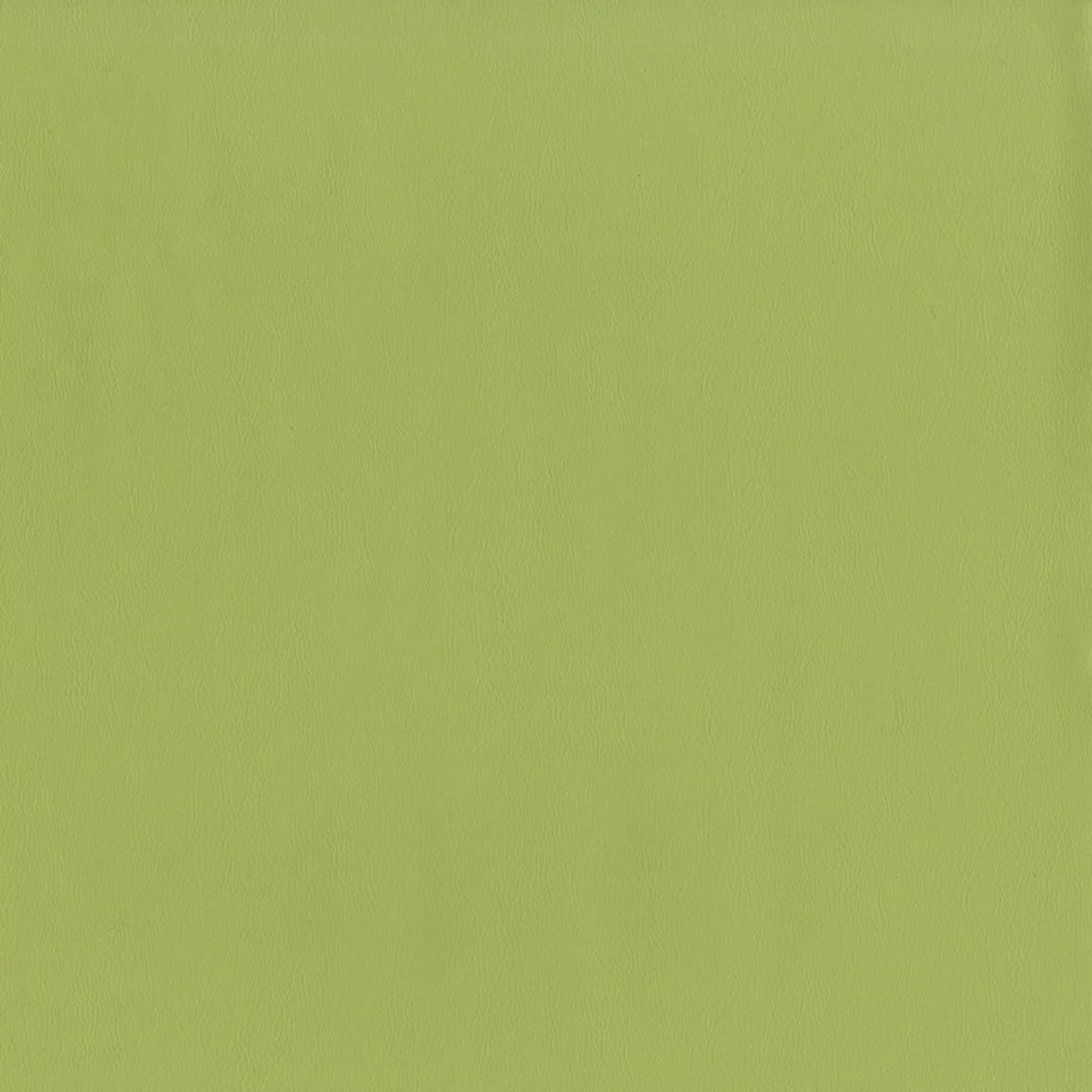 f2899 F2899