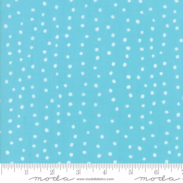 Farm Fresh Dots Sky 48267 20