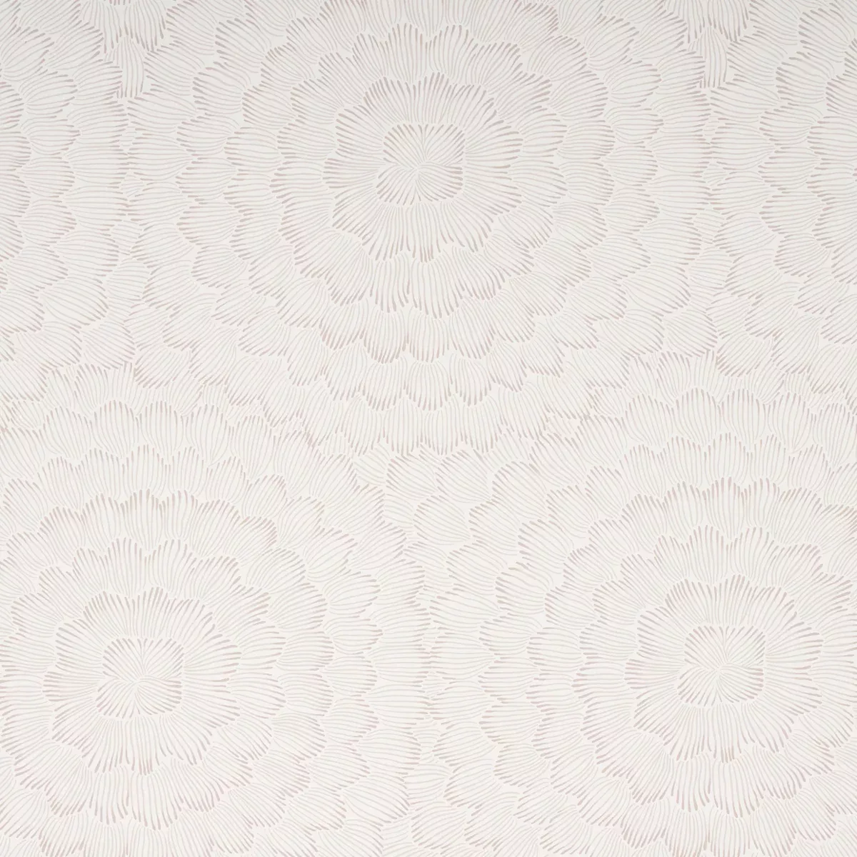 FEATHER BLOOM SOFT NEUTRAL