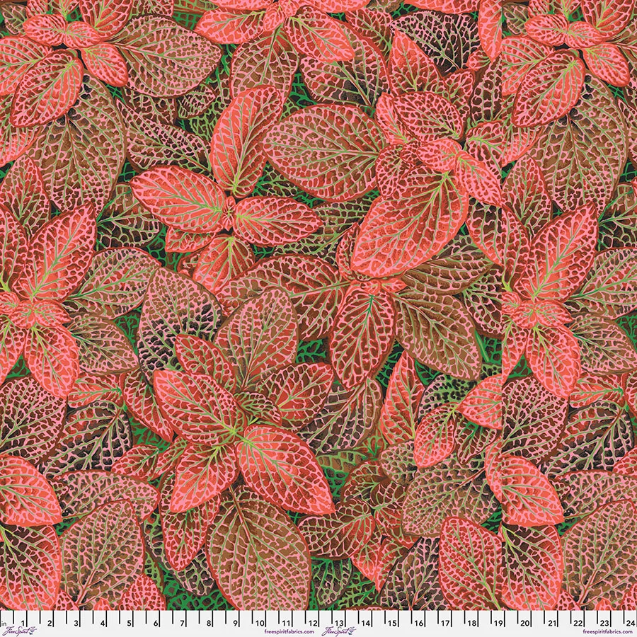 Fittonia - Red || August 2024