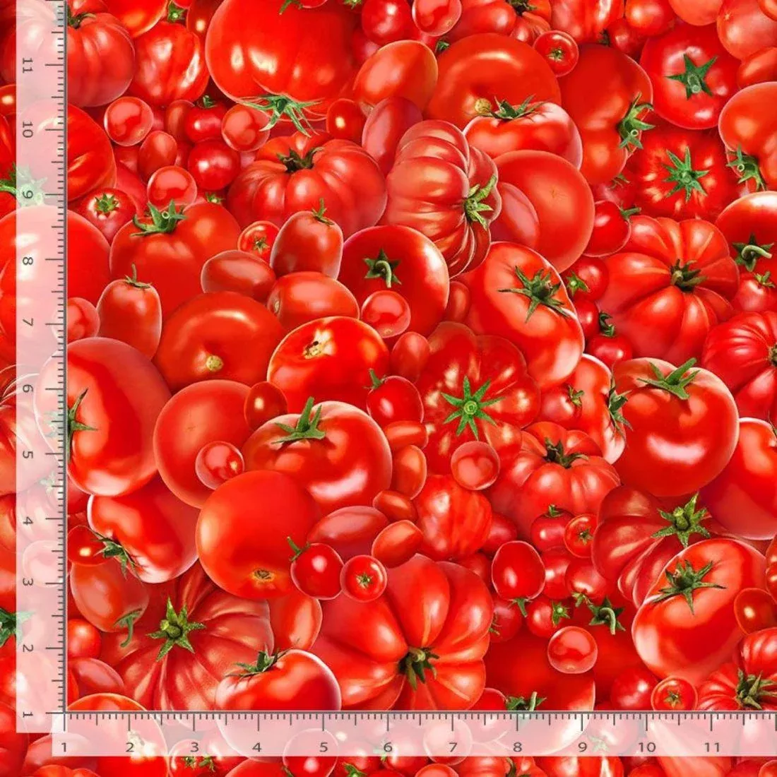 Fresh Tomatoes Red by TT Studio