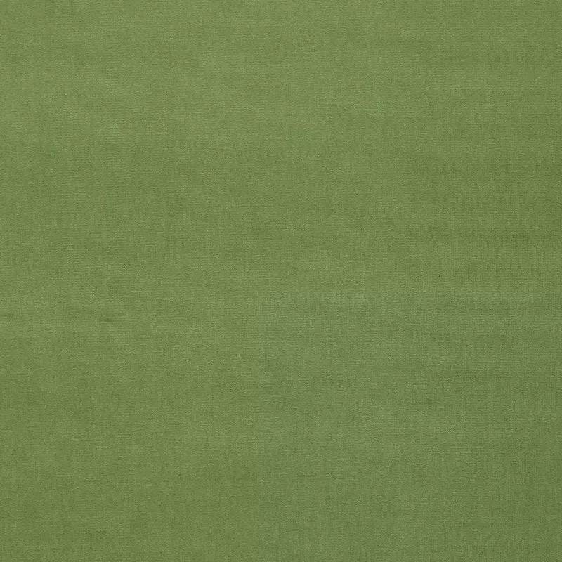 GAINSBOROUGH VELVET LEAF